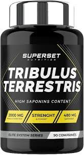 Tribulus Terrestris - Testosterone et Performance 90 gelules